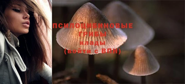 бошки Алексеевка