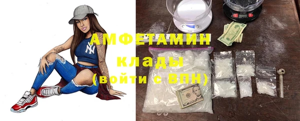 мет Алексин